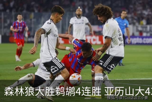 森林狼大胜鹈鹕4连胜 亚历山大43分雷霆克骑士