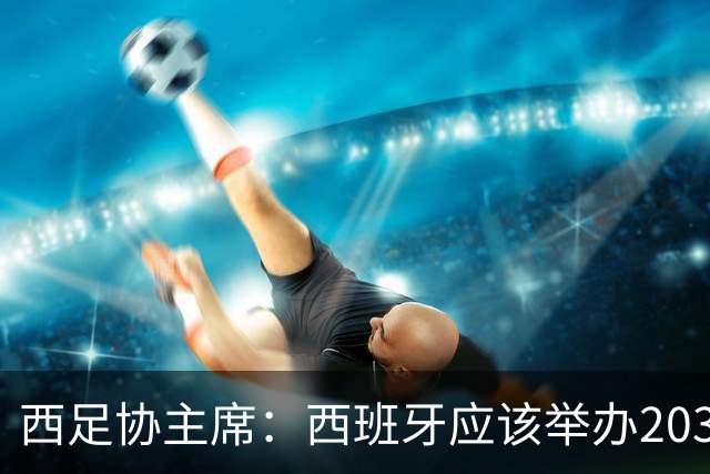 西足协主席：西班牙应该举办2030世界杯决赛，我们各方面条件最优